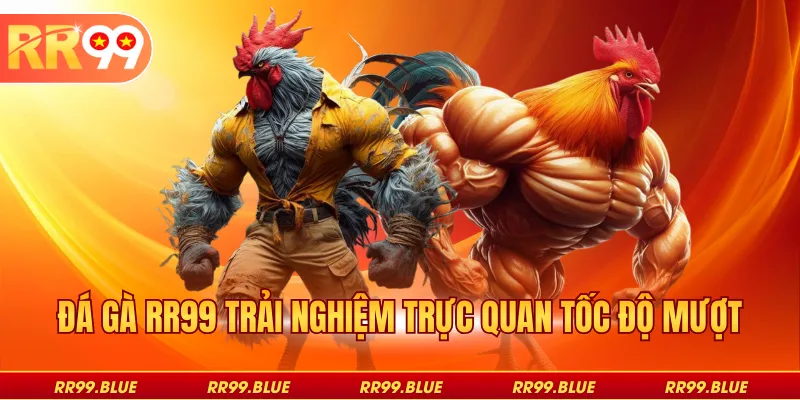 Đá gà RR99 trải nghiệm trực quan tốc độ mượt