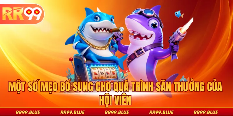 Một số mẹo bổ sung cho quá trình săn thưởng của hội viên
